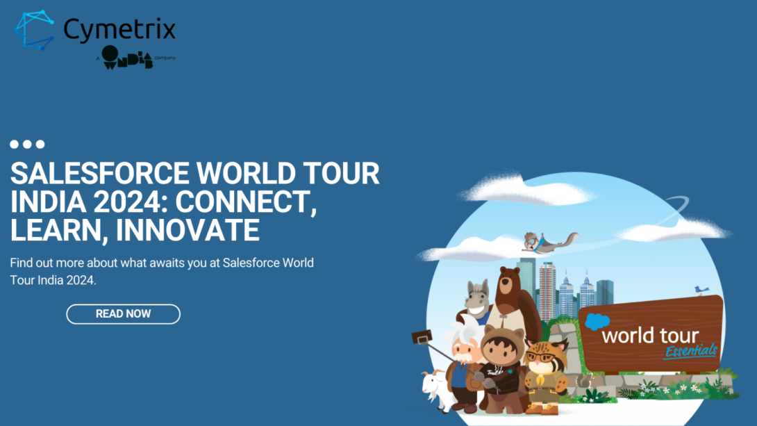 Salesforce World Tour India 2024 Connect, Learn, Innovate